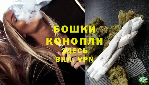 прущие крисы Вяземский