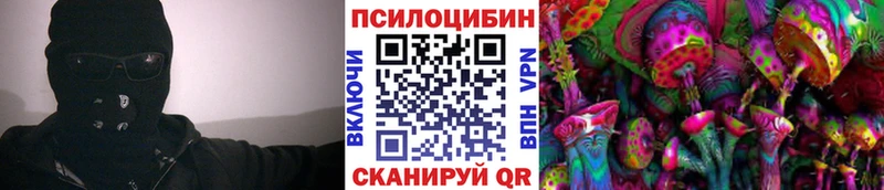 где можно купить наркотик  Дагестанские Огни  Псилоцибиновые грибы Psilocybe 